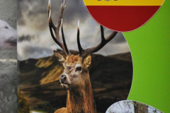 PREMIOS_TODOMONTERIA-0057-scaled-1