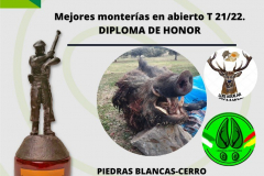 TROFEOS_TODOMONTERIA-0017