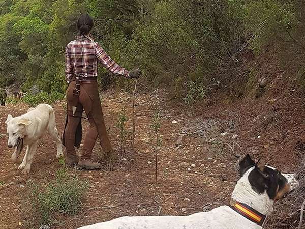 Rehaleros Extremadura