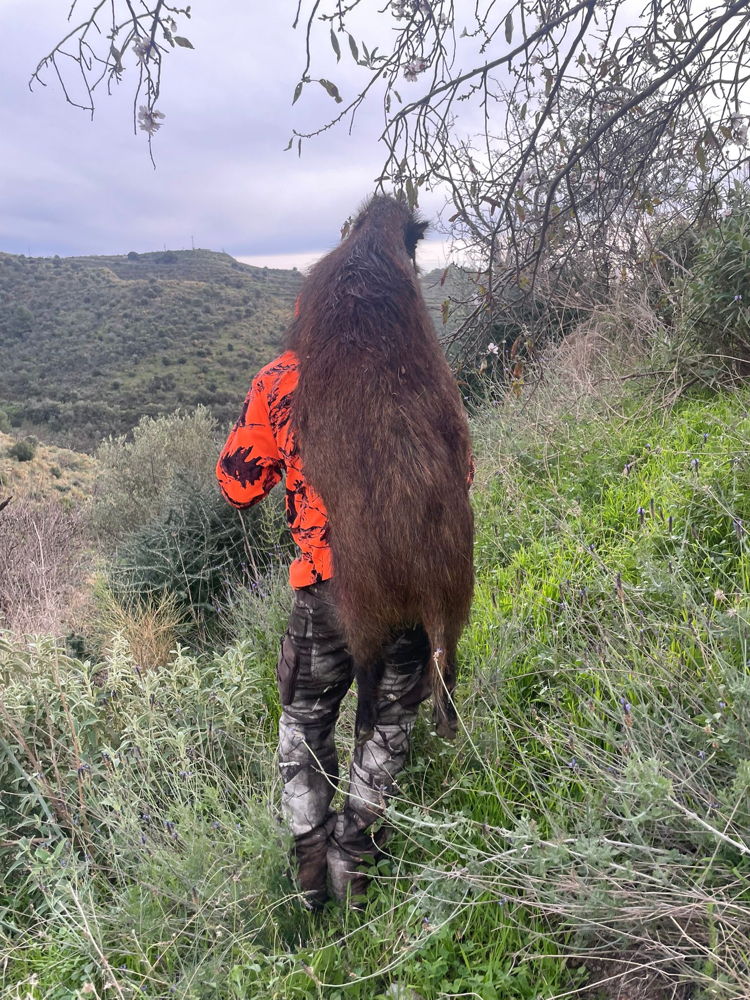 La Herradura SC Alberto García