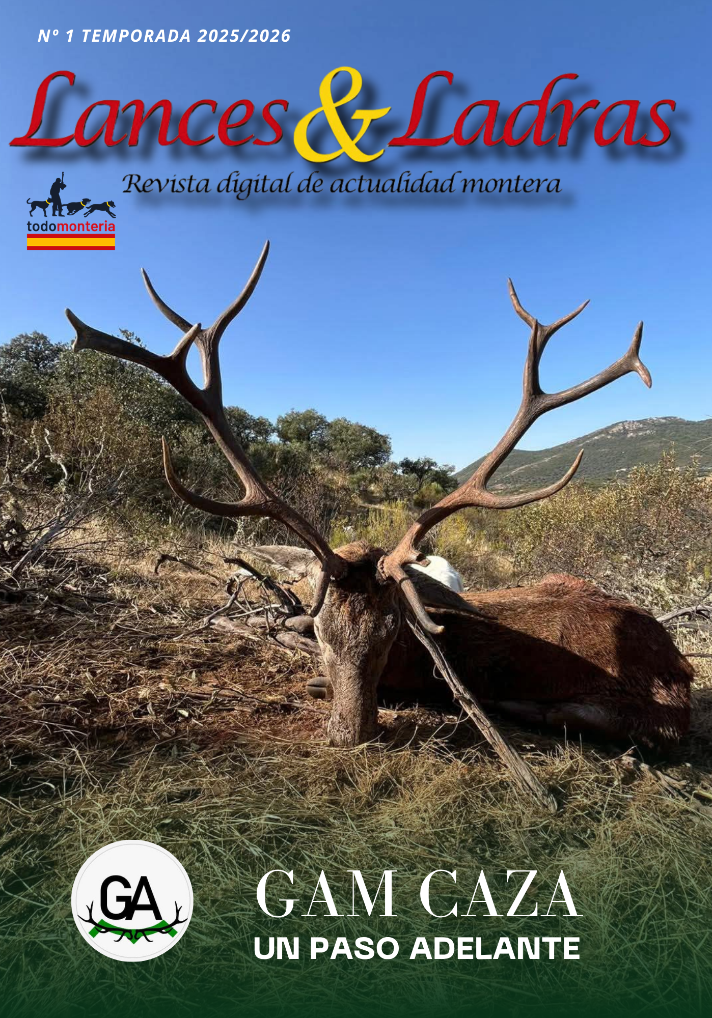 Lances y Ladras GAM